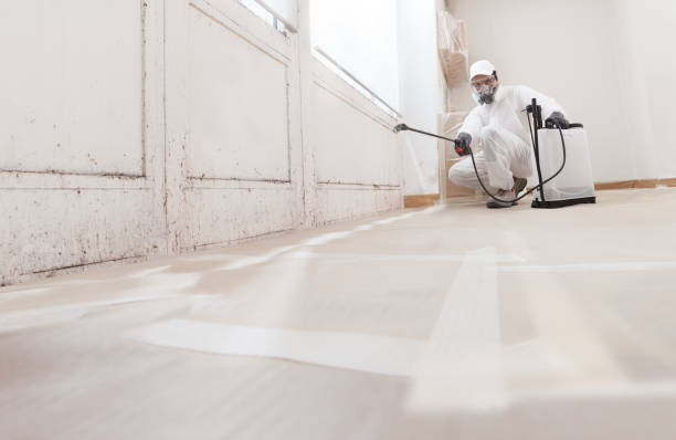 24/7 Emergency Commercial Mold Remediation experts in Franklin, PA